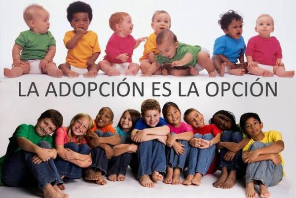 adopcion