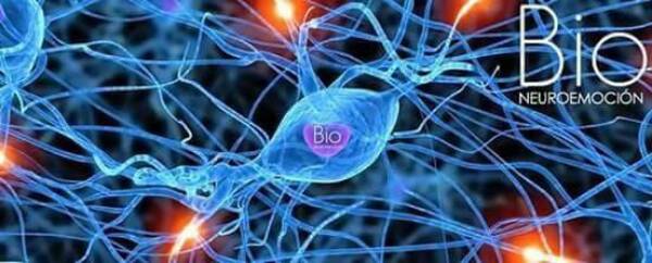bio