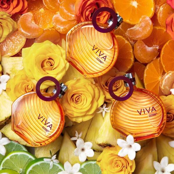 Cyblog_Viva_2-1