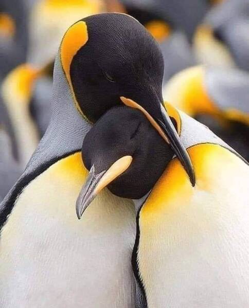 FB_IMG_1636845577388