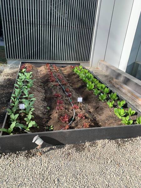 IMG_20231109_164114_396